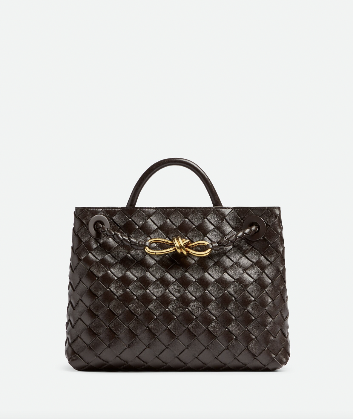 Bottega Andiamo bag first outfit reference