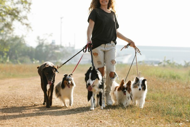 Best Side Hustles for Women: Turn Your Hobby into Profit
